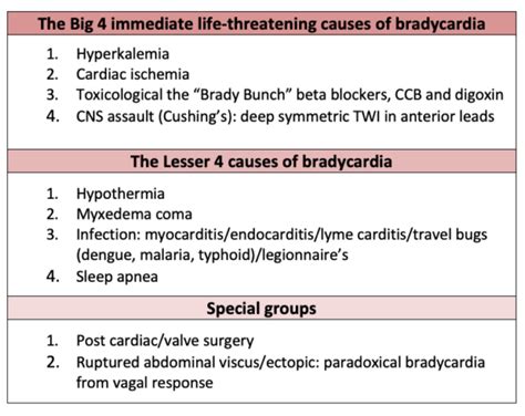 Bradycardia Causes