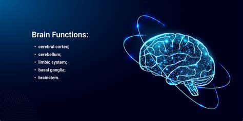 brain function