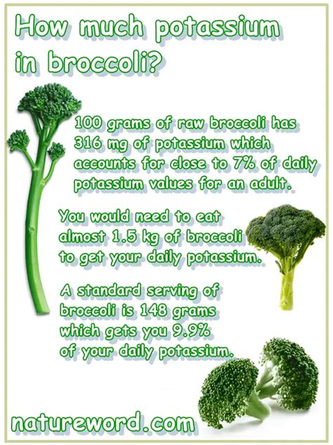 broccoli and potassium content