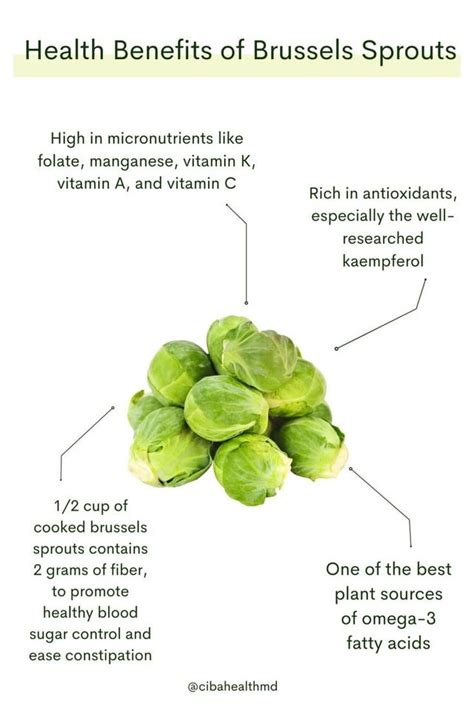 Brussels sprouts conclusion