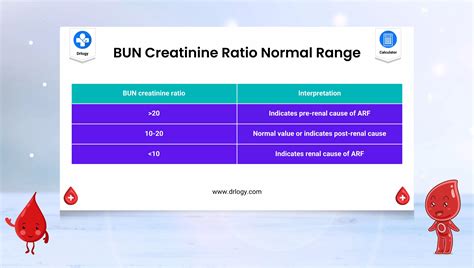 bun ratio applications