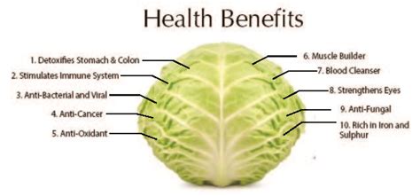 cabbage and bone health