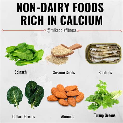 Calcium Food Sources
