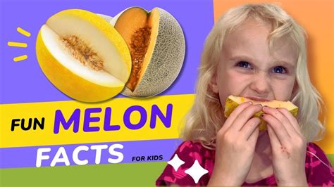 cantaloupe and melon fun facts