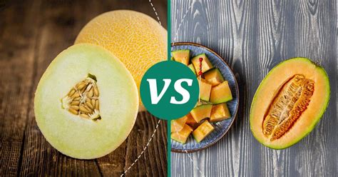 cantaloupe vs melon
