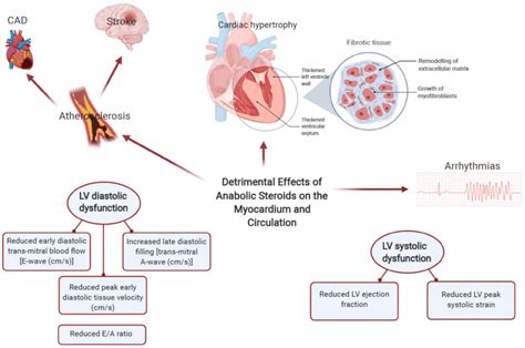 cardiovascular side effects