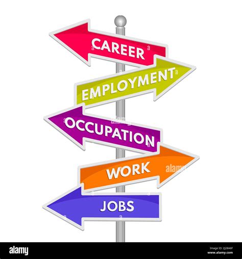 Career and Employment