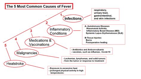 Causes of a 103 Fever