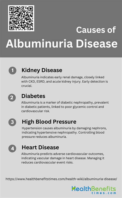 causes of albuminuria