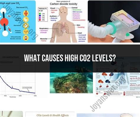 Causes of Elevated CO2 Levels