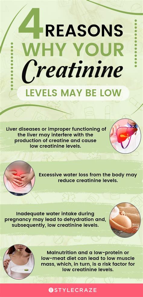 Causes of Low Creatinine Blood Test Results