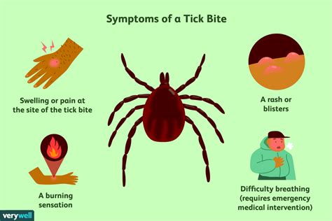 Causes of Tick Bite Infections