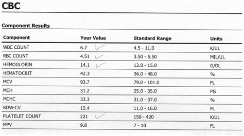 Interpreting CBC Test Results