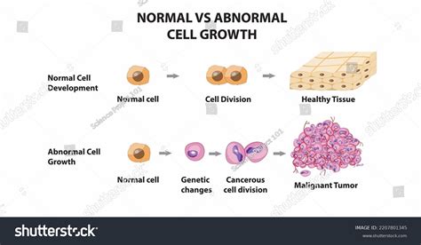 Cell growth benefits