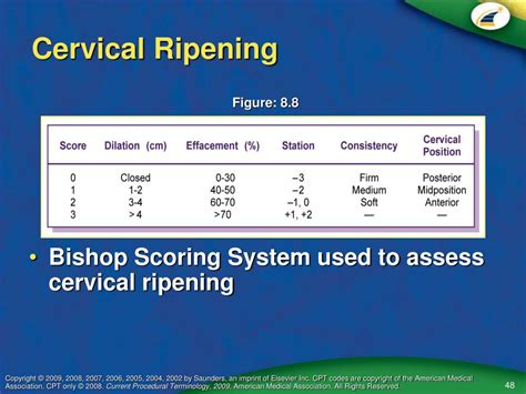 cervix ripeness scoring systems