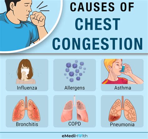 Chest Congestion Symptoms in Adults