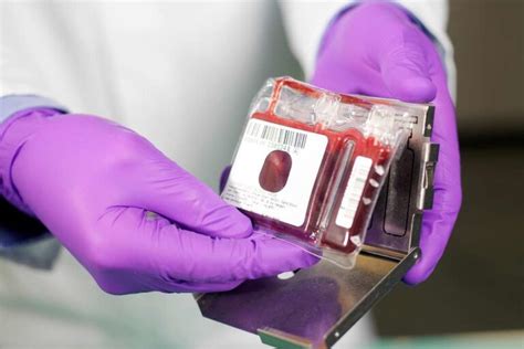 Choosing Cord Blood Bank