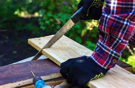 Choosing the Right Saw Palmetto