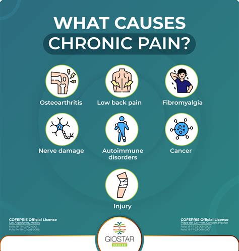 Chronic Pain Introduction