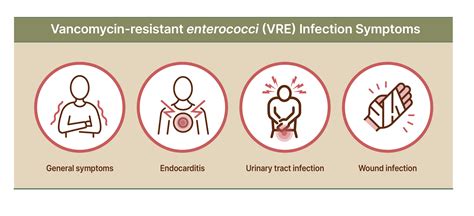 Clinical Manifestations of VRE Infections
