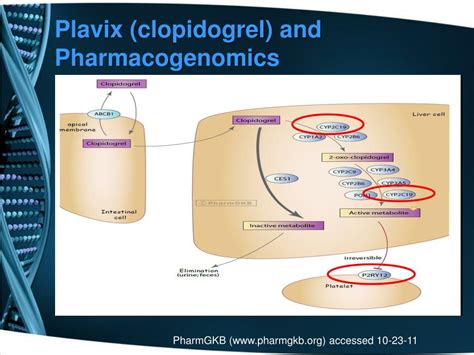 Future of Clopidogrel