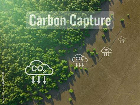 CO2 impacts on ecosystem health