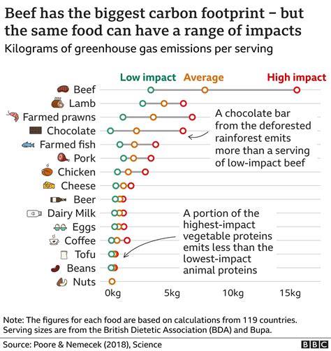 CO2 impacts on food systems