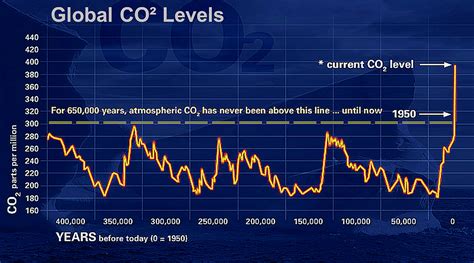 CO2 levels in blood