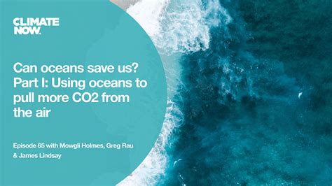 CO2 impacts on ocean health