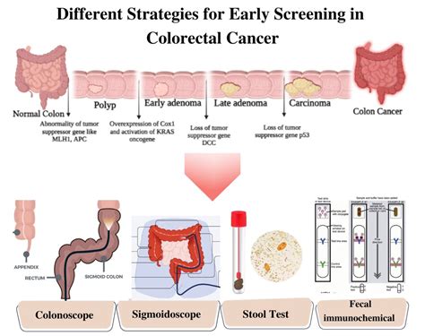 Colorectal Cancer Screening Methods