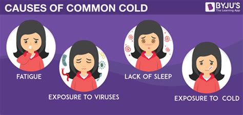 common cold causes