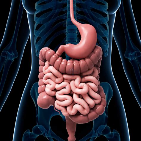 common digestive issues