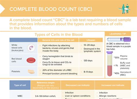Complete Blood Count Conditions