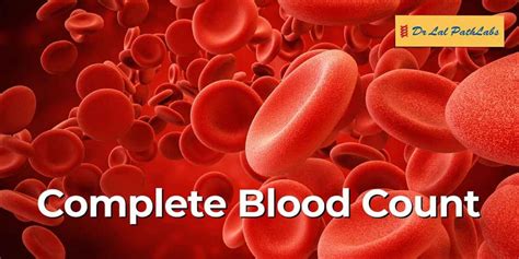 Complete Blood Count Results