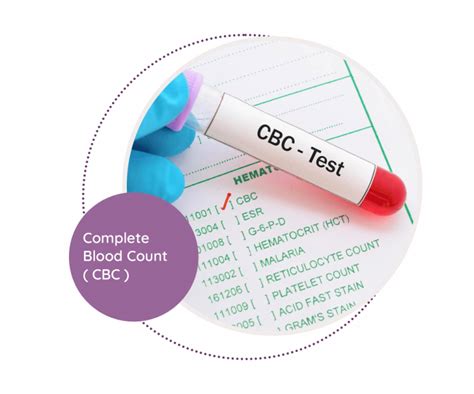Complete Blood Count Test