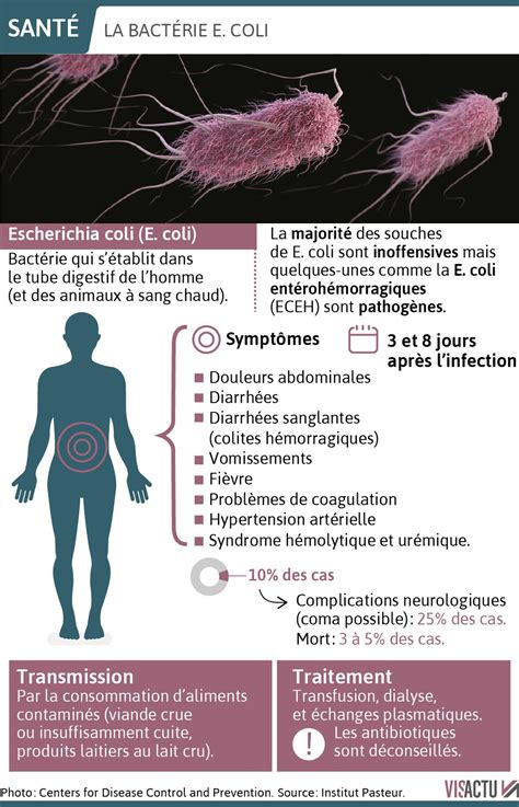 Complications of E. coli Infections