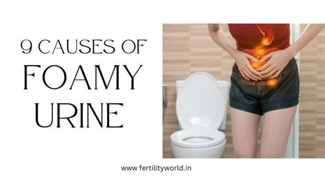 Complications of Foamy Urine