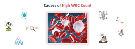 complications high wbc count
