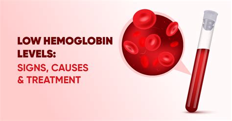 Complications of Low Globulin Protein