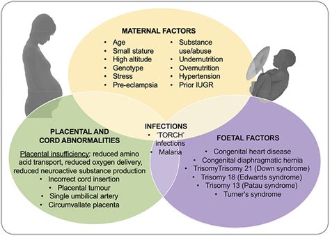 complications of fetal development