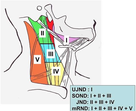 Complications Of Nodes In The Neck