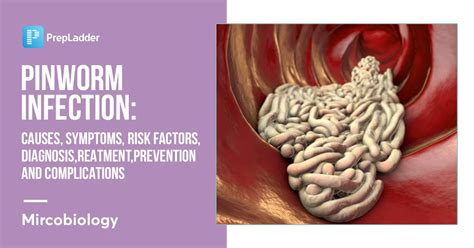 Complications of Pinworms