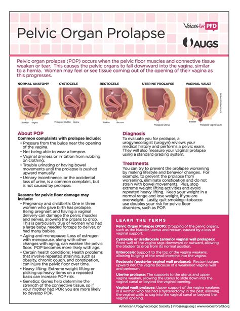 Conclusion and Next Steps for Pelvic Floor Prolapse