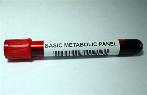 conclusion metabolic panel test
