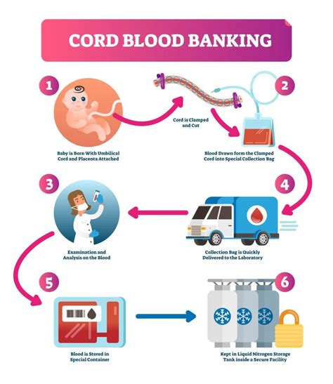 Cord Blood Collection