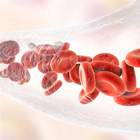 Cord Blood Safety