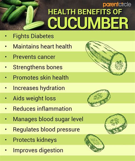 cucumber benefits