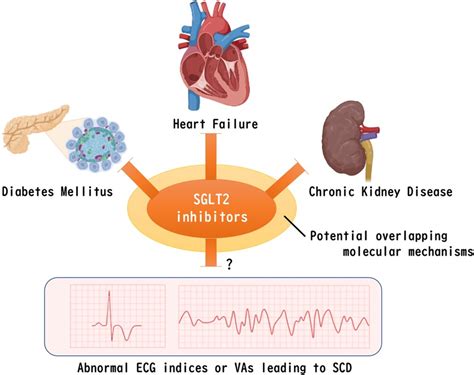 Current Research On Heart Attacks