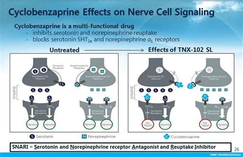 cyclobenzaprine mechanism