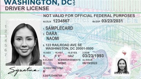 DC License Lookup